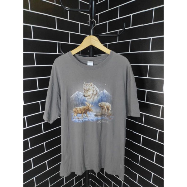 KAOS ANIMAL / KAOS ANVIL