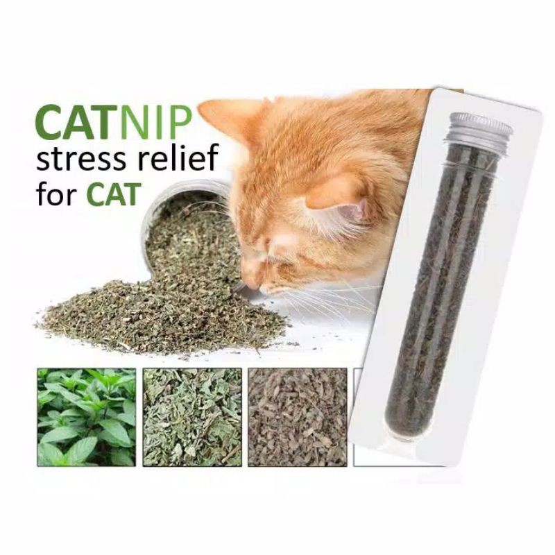 CATNIP STRESS RELIEF FOR CAT 40ml herbal alami penghilang stress dan menggembirakan kucing