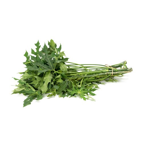 

Daun Pepaya Lokal 500gr