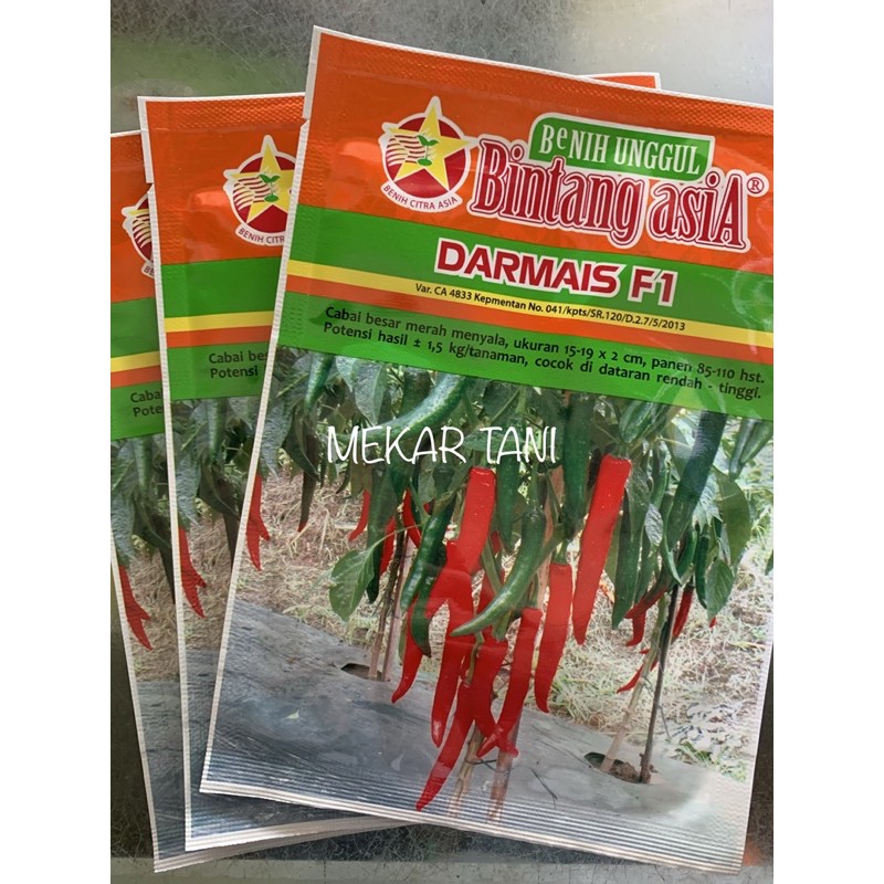 Benih Cabai Besar Darmais F1 10gr
