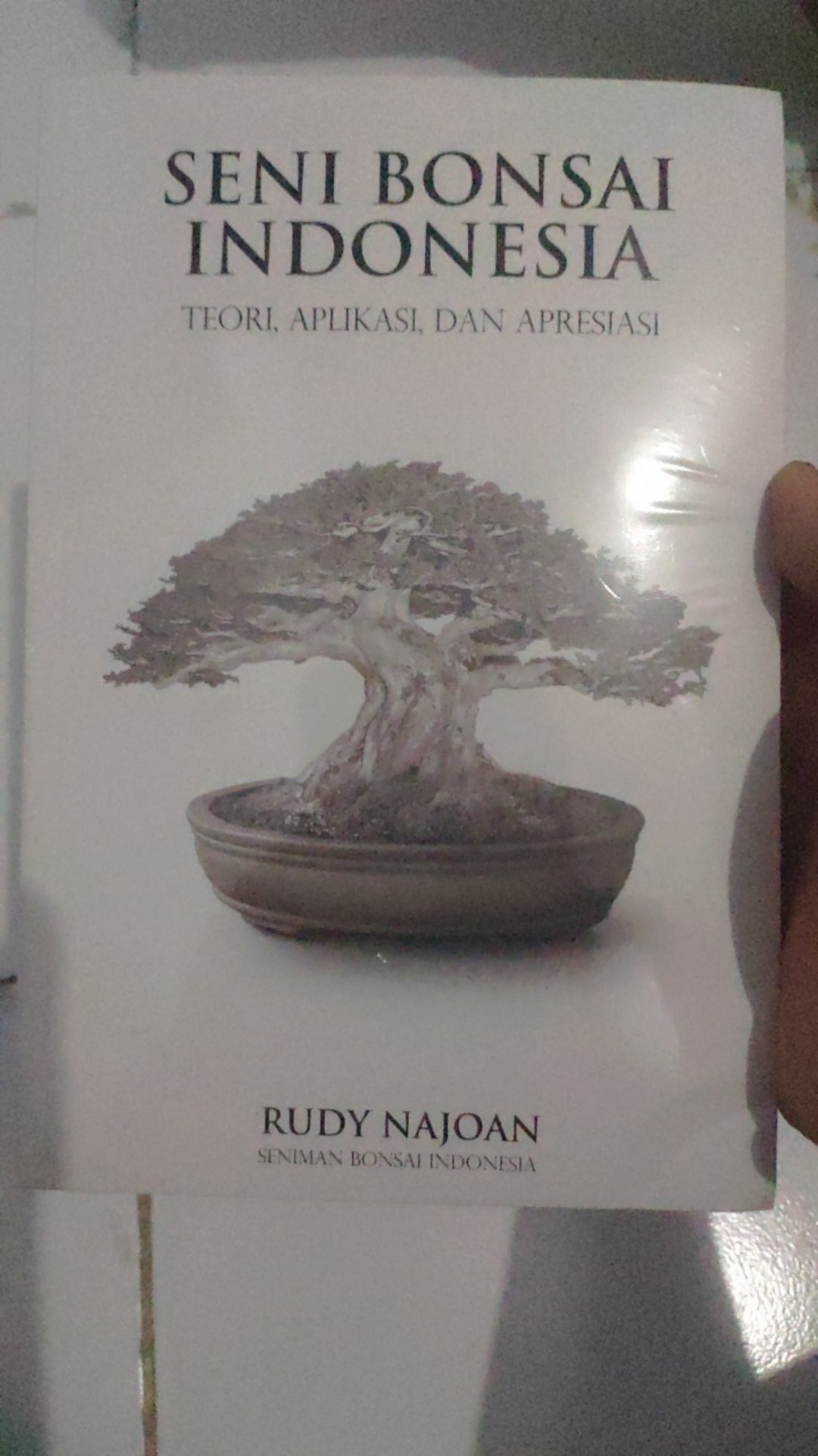 Seni Bonsai Indonesia