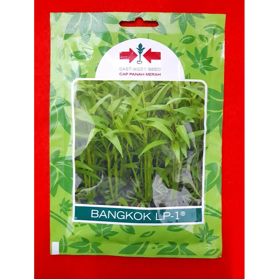 Jual Benih Kangkung Bangkok Panah Merah | Shopee Indonesia