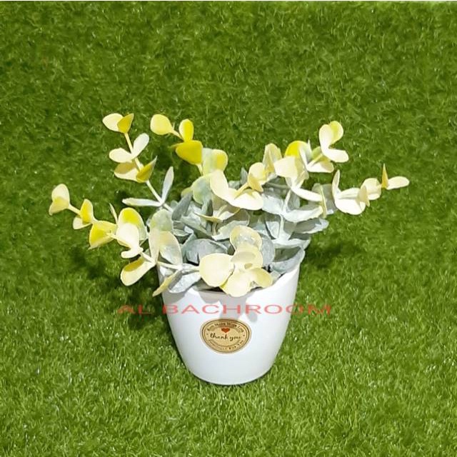 RB6086 BUKET POT DAUN EUKALIPTUS BEDAK WARNA