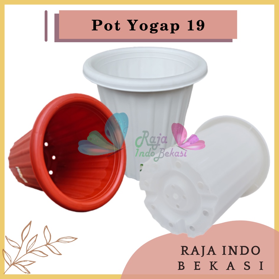 Pot Yogap 19 Putih Transparan Bening Merah Bata Coklat Bata Teraccotta Terakota  Pot Yogap Yoga 18 19 25 Tebal Murah