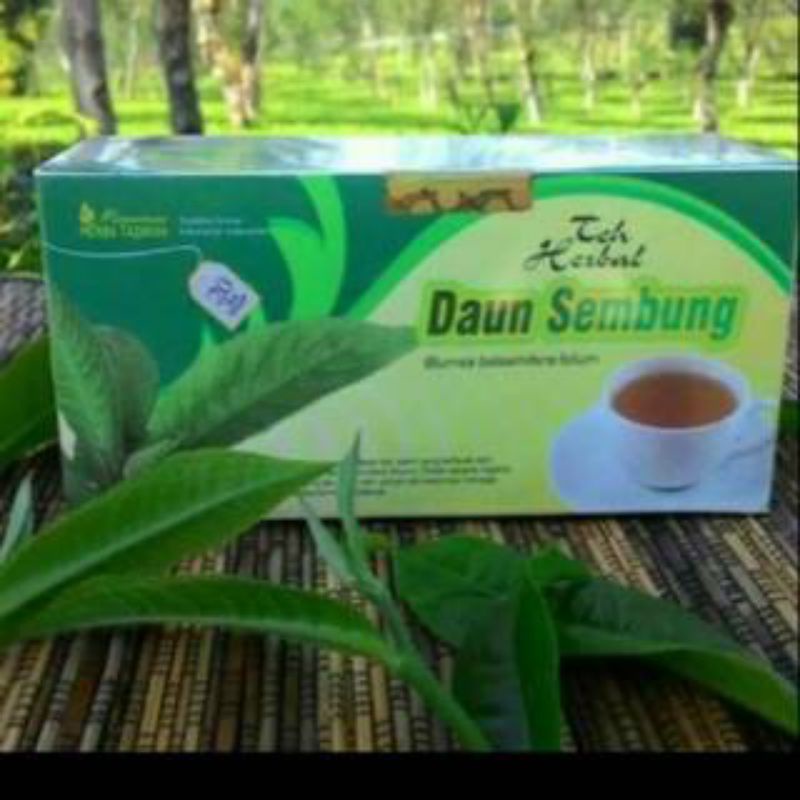 

Teh Sembung Original Tazakka Ampuh Mengobati Maag Batuk Rematik