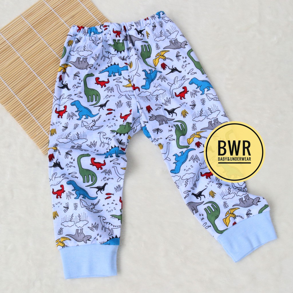 Setelan LUCKY PANJANG Motif DINO / Piyama Setelan Anak Unisex Kaos Celana Panjang | Bwr