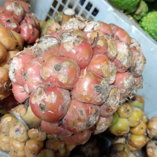 

Asem Cikala 1kg