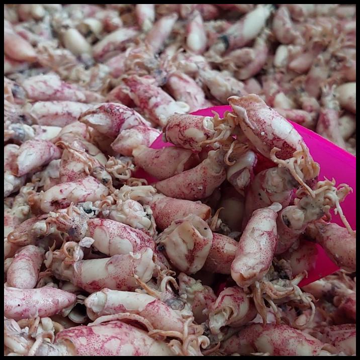 

Cumi Baby Asin 1Kg/Baby Cumi Asin 1Kg
