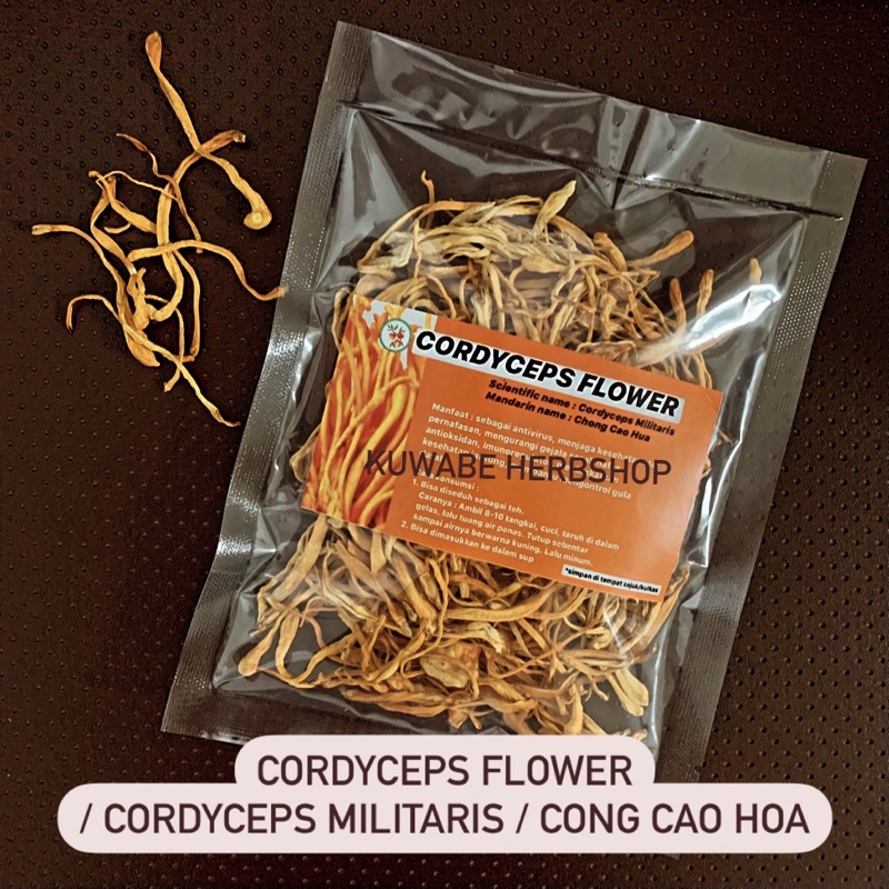 

CORDYCEPS FLOWER / CORDYCEPS MILITARIS / CHONG CAO HUA : 1 niu = 37 gram