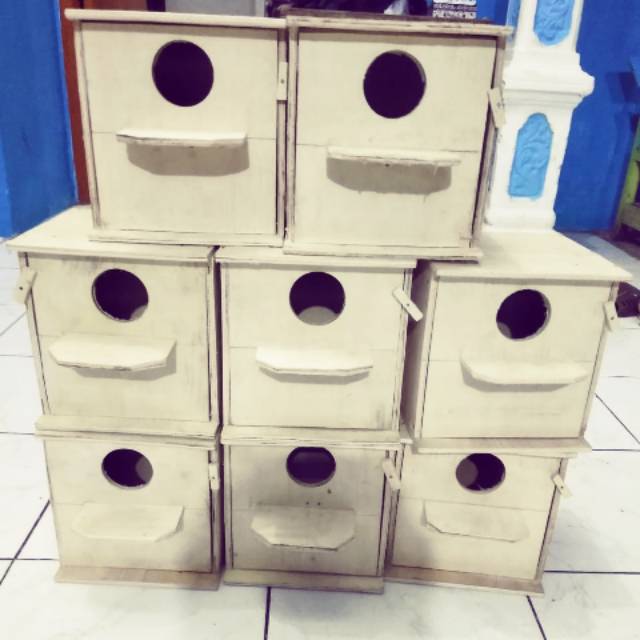 Glodokan lovebird ,ternak lovebird, untuk kandang harus d pesan trlebih dahulu