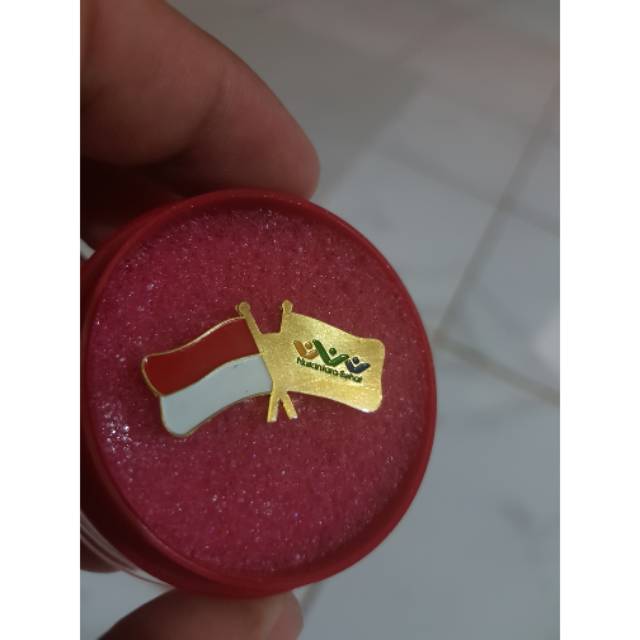 pin nusantara sehat