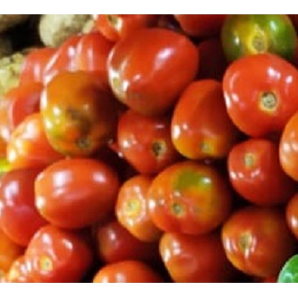 

Tomat Segar 500 gram
