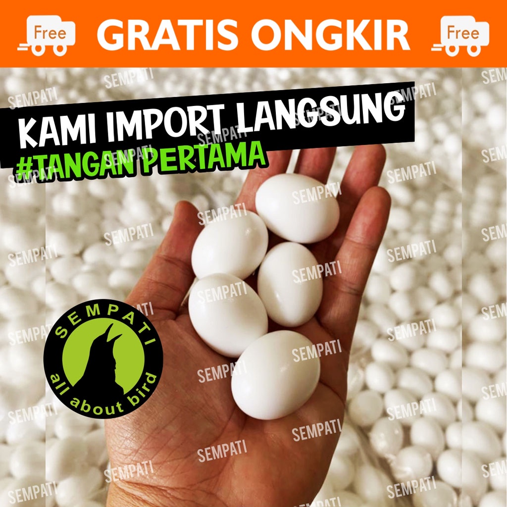 TELUR PALSU MAINAN BURUNG MERPATI TELUR PALSU MERPATI AYAM KATE TELOR TELUR PALSU MERPATI IMITASI BAHAN SOLID BERKUALITAS TELUR DUMMY REPLIKA FAKE EGG DENECDE1