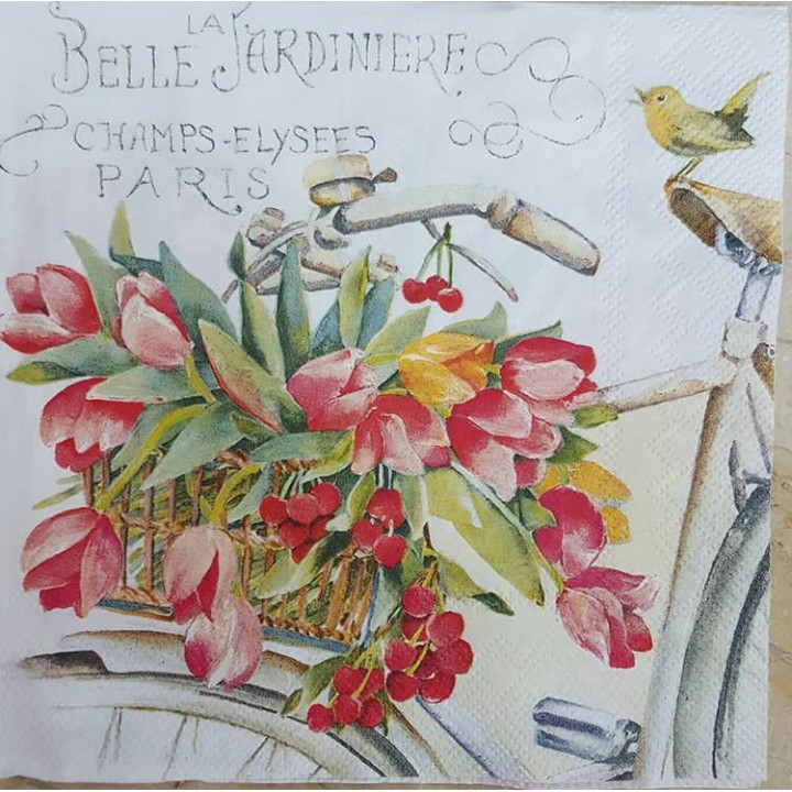 Tissue Decoupage Eropa