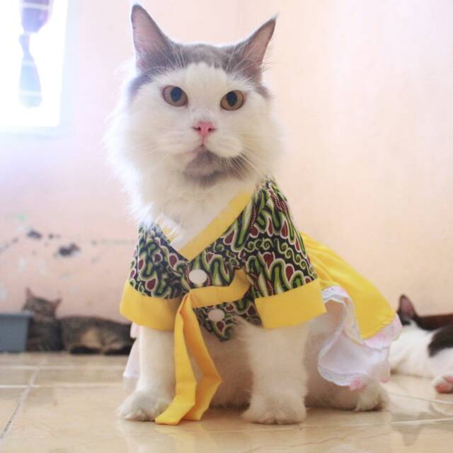 Dress hanbok batik kuning lucu untuk kucing dan anjing lucu size S-XL