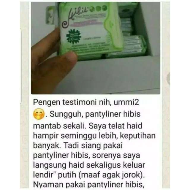 ECER HIBIS PANTYLINER HNI HPAI