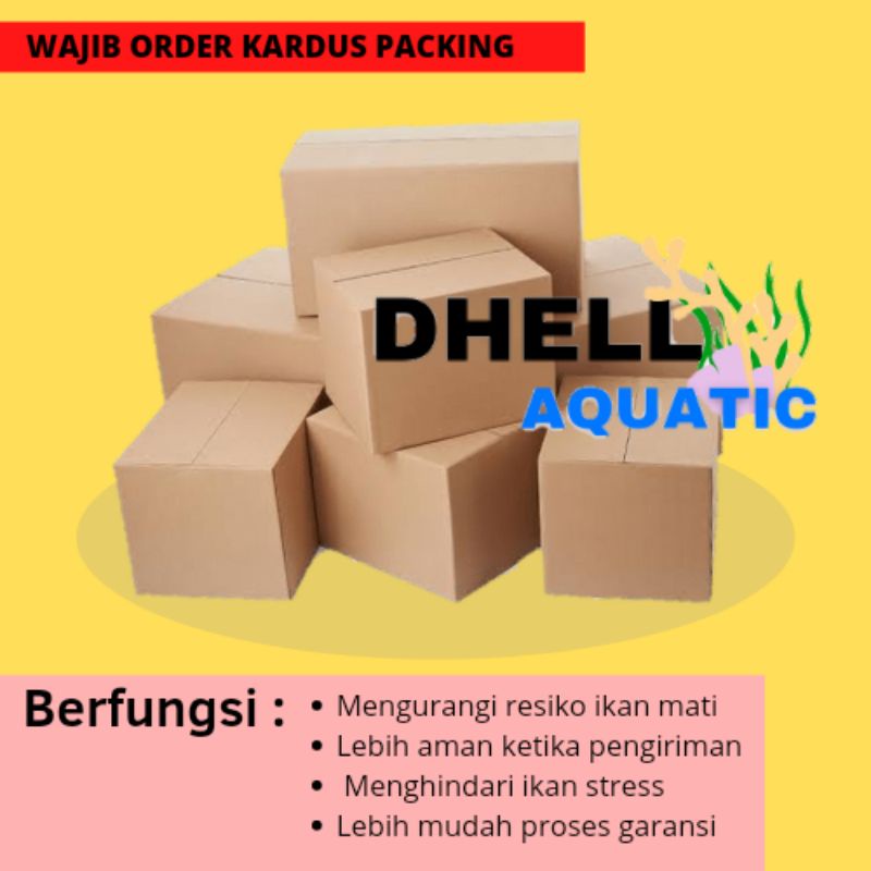 

KARDUS PACKING TAMBAHAN (Wajib order/Murah)