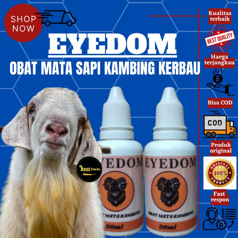 OBAT TETES MATA SAPI KAMBING EYEDOM BEST FARM