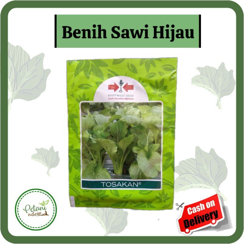 Benih Biji Bibit Sayur Sayuran Sawi Hijau Tosakan/ Caisim Cap Panah Merah