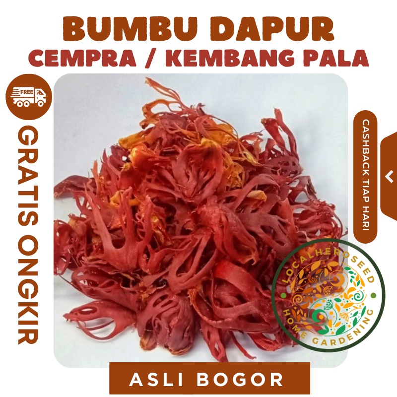 

Kembang pala / Fuli / Mace 50 gram BERKEBUN DIRUMAH
