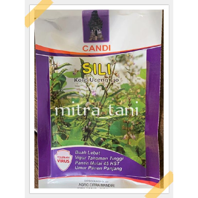 benih sayuran koro uceng ijo SILI 10gram dari CITRA AGRO MANDIRI
