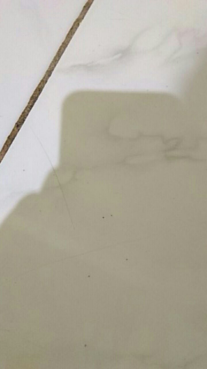 Toples Transparan Plastik Anti Tumpah Murah 1000ml Tempat Penyimpanan Makanan Ringan Alat Dapur