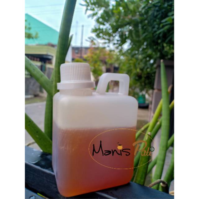 

Madu minum jerigen kecil