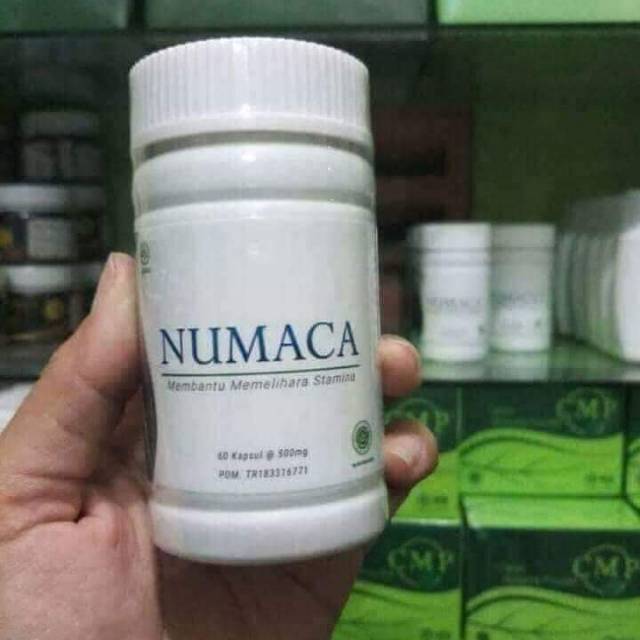 NUMACA (Program Hamil)