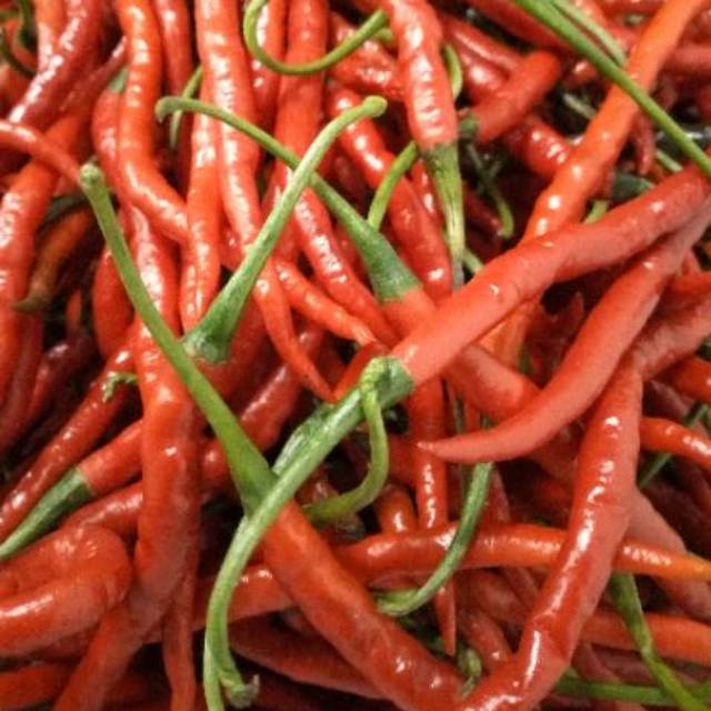 

1 Kg Cabe Keriting | SayurFresh_Depok1619
