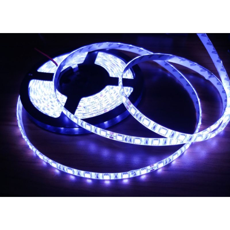 FLEX STRIP SMD 5050 24 V 5 meter