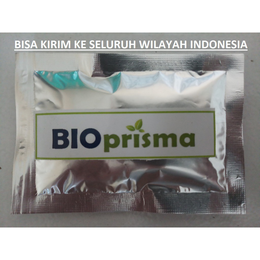 Bakteri Penghancur Tinja / Lemak / Kuras WC Tanpa Sedot