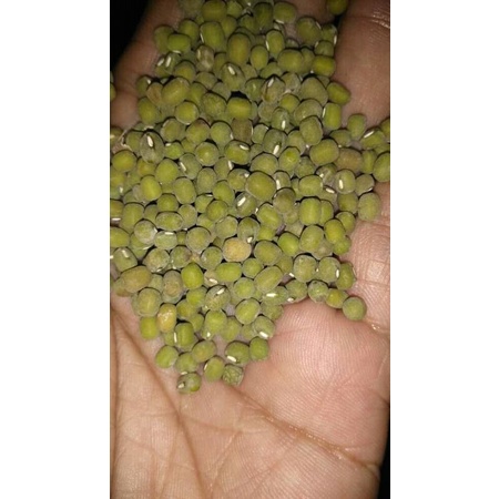 

Kacang hijau/kacang ijo 250gram