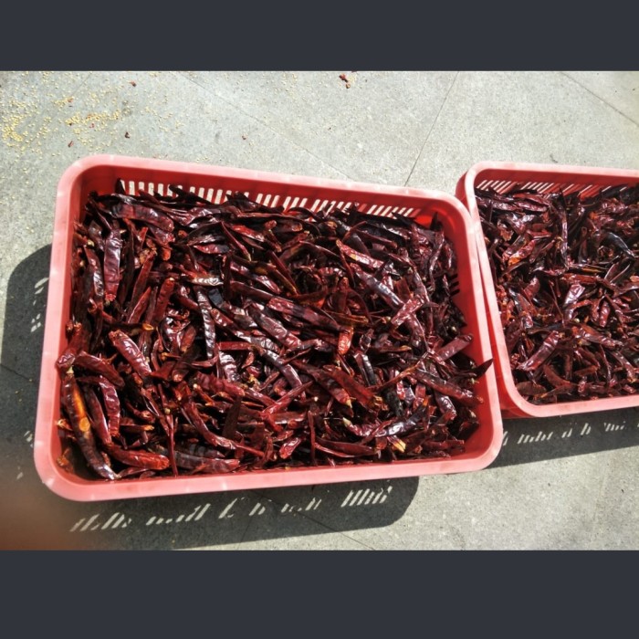 

Promo Spesial - Chili Dry 5 Kg / Cabe Merah Kering / Besar Kering ( 5Kg ) Import / Cabai Kering