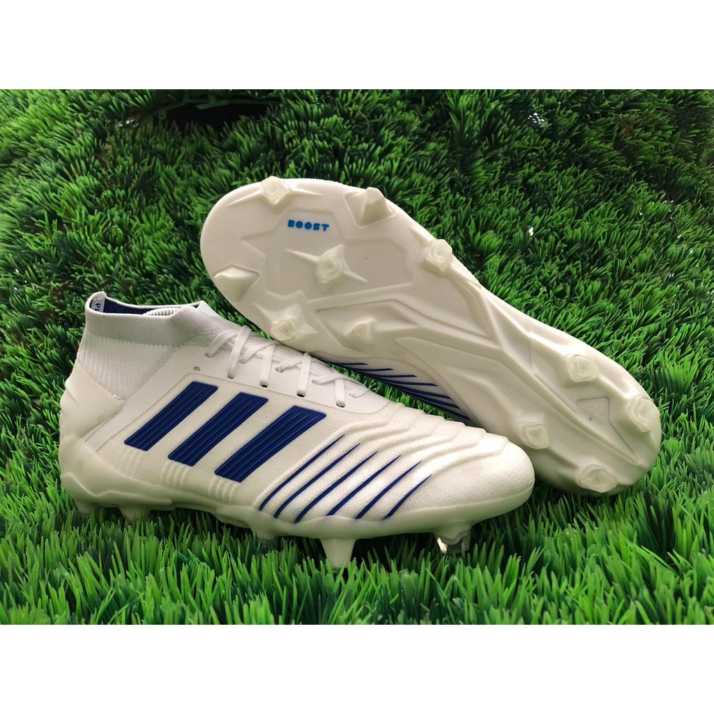 adidas 19.1 fg predator