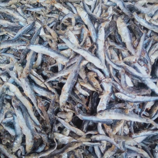 

Ikan asin: teri batu