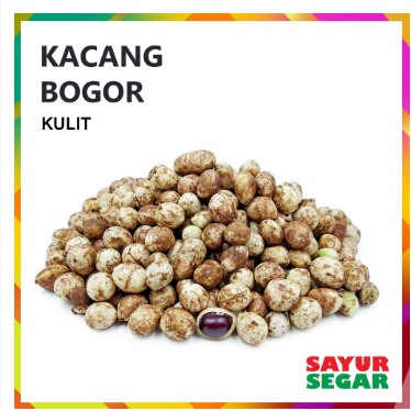 

[SayurSEGAR] KACANG BOGOR [250g]