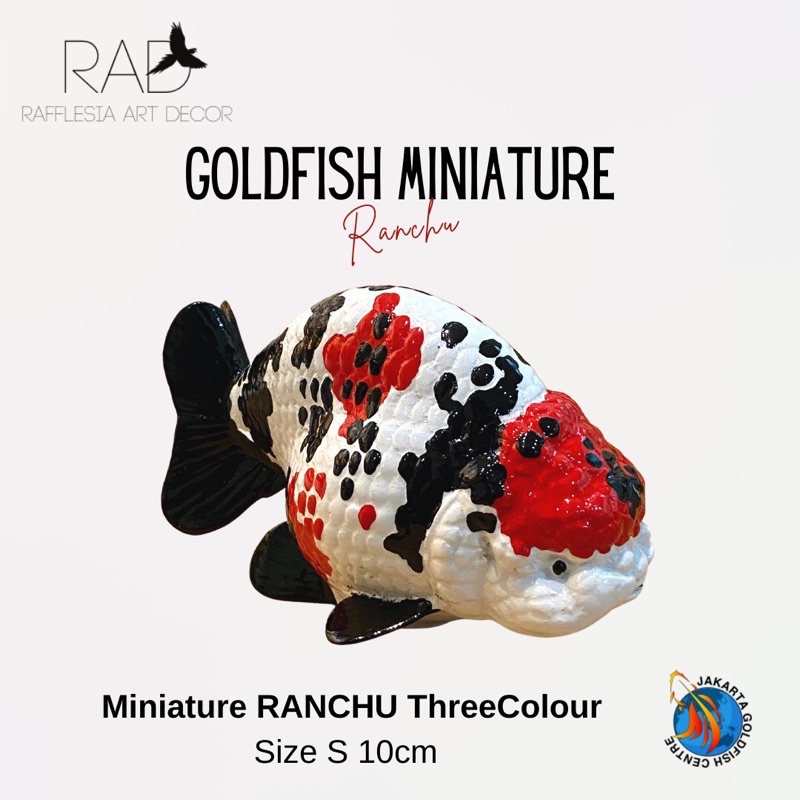 PATUNG IKAN KOKI RANCHU THREECOLOUR ( size S: 10cm )