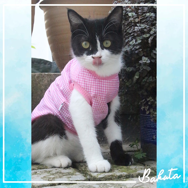 Baju Ucansee Kotak-kotak pink untuk kucing dan anjing / baju kucing lucu termurah size S-XL