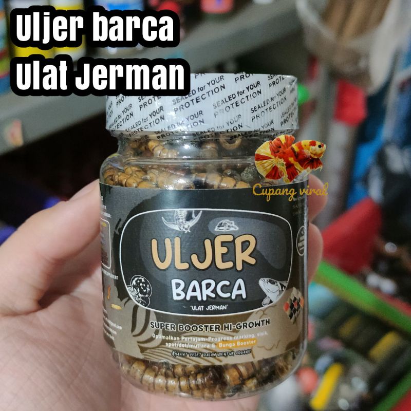 ULJER BARCA Ulat Jerman El BARCAFEED Hi Growth Super Booster 40 Gram