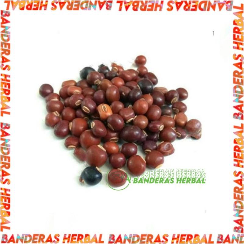 

Biji kecipir / Jaad premium banderasherbal (FRESH 100gr)