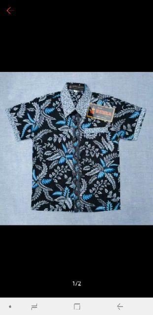 Ruzza Batik Anak Kemeja Motif Jahe Biru Hem Seragam