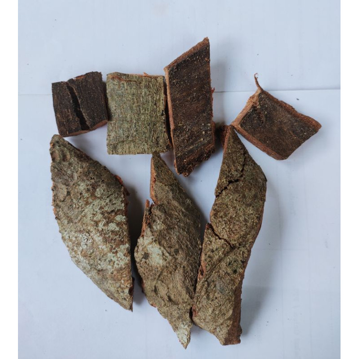 

Kulit Pohon Ara Kering Atou Pohon Loa 500 Gram