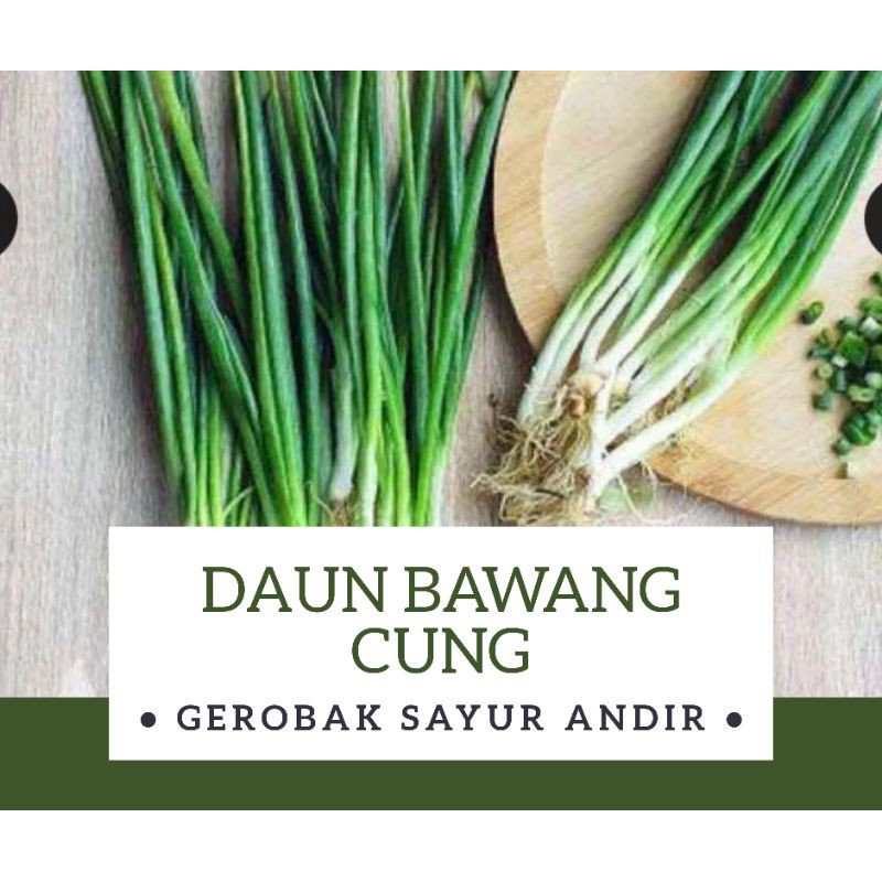 

Daun Bawang Cung /500gr