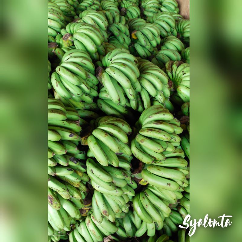 

Pisang Barangan Medan