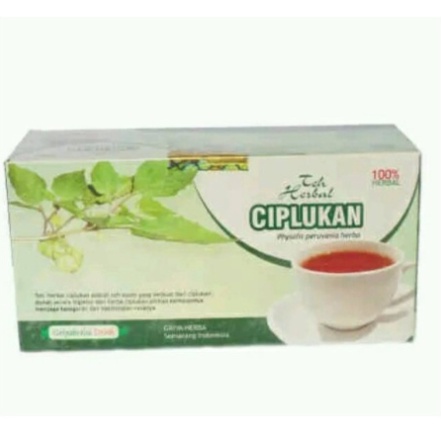 TEH HERBAL CIPLUKAN ASLI ORIGINAL OBAT DIABET PEMBENGKAKAN BATUK SAKIT TENGGOROKAN BPOM HALAL