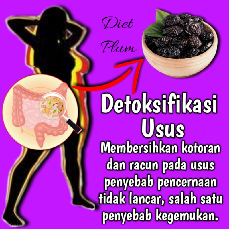 KURUS KILAT DRIED PLUM Pelangsing Diet Detox Penurun Berat Badan Perut Buncit Ampuh