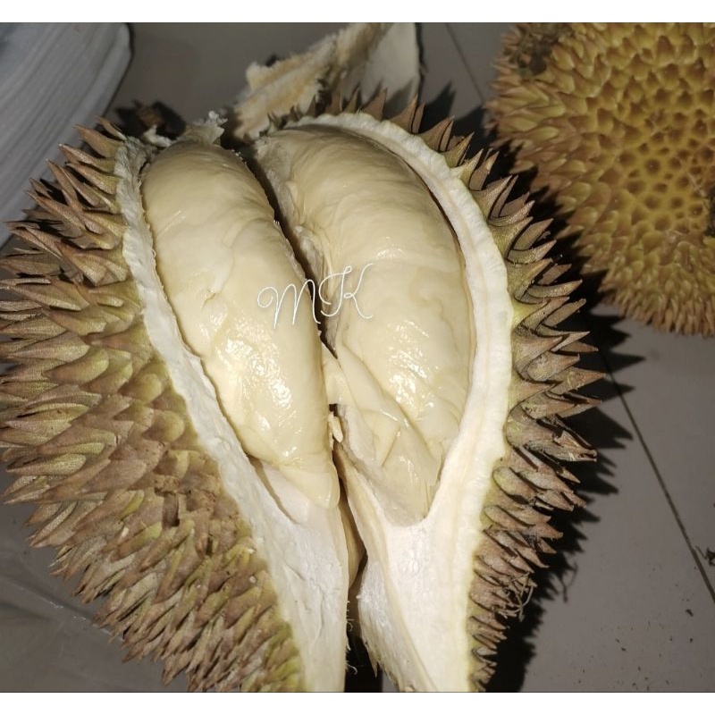 

Durian Palembang Lokal Manis Fresh Kuning