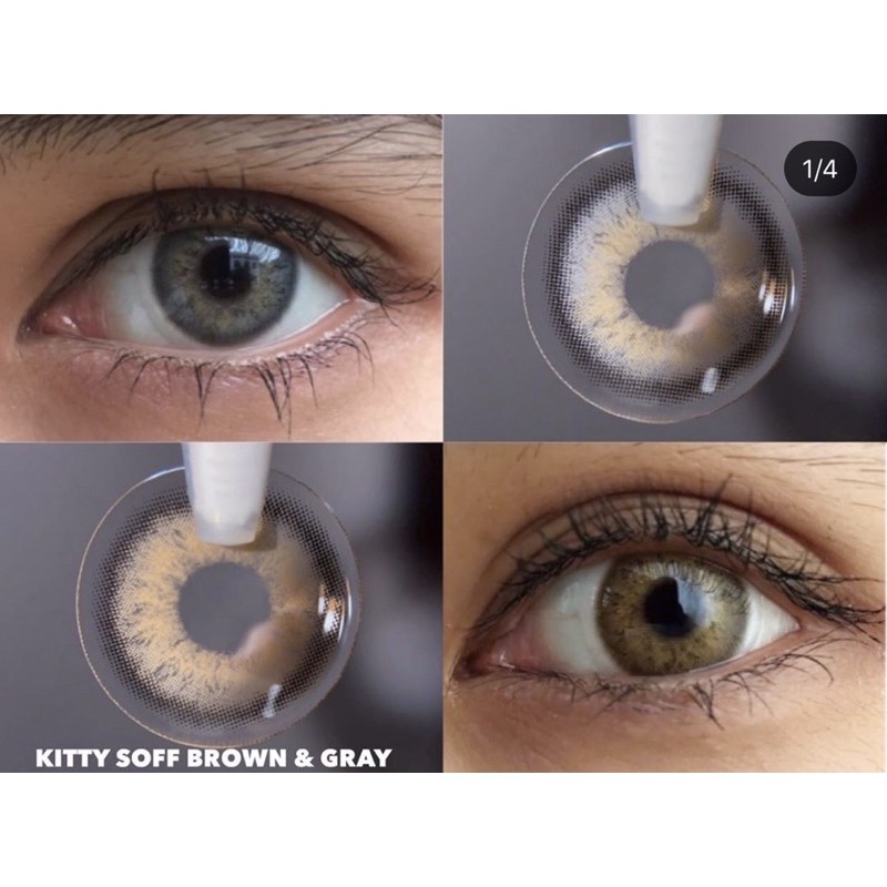 kitty soff gray brown blue softlens original korea