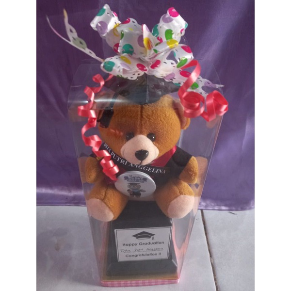 Boneka Piala Wisuda + Mika kotak ukuran boneka (15cm)