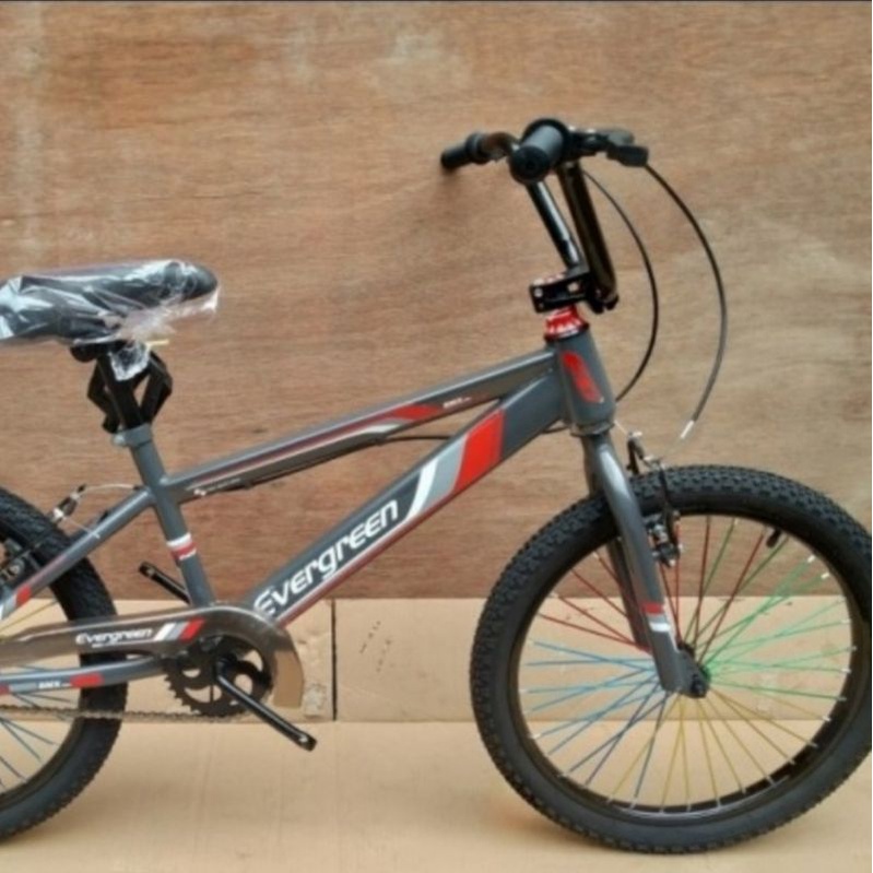 Sepeda BMX Senator Classic 20 inch/ sepeda anak Laki-laki anak cowo/ sepeda dewasa murah bagus-abu evergreen